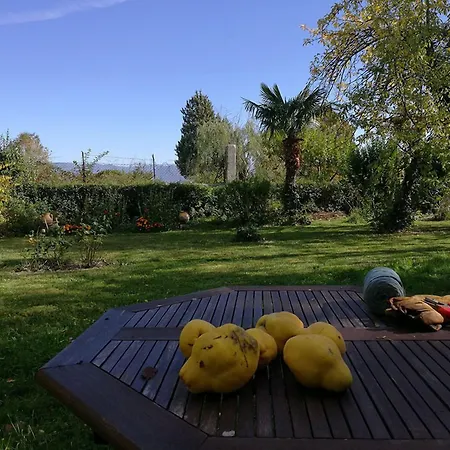 Bed & Breakfast Casa Grande De Trives